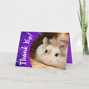 Hammyville - niedlicher Hamster danken Ihnen Dankeskarte