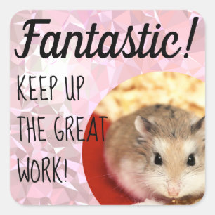 HammyVille - Niedlicher Hamster Fantastische Arbei Quadratischer Aufkleber