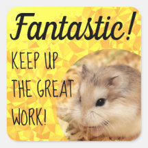 HammyVille - Niedlicher Hamster Fantastische Arbei