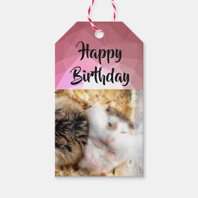 Hammyville - Niedlicher Hamster Geschenkanhänger (Vorderseite)