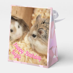 Hammyville - Niedlicher Hamster Geschenkschachtel