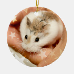 Hammyville - Niedlicher Hamster Keramikornament