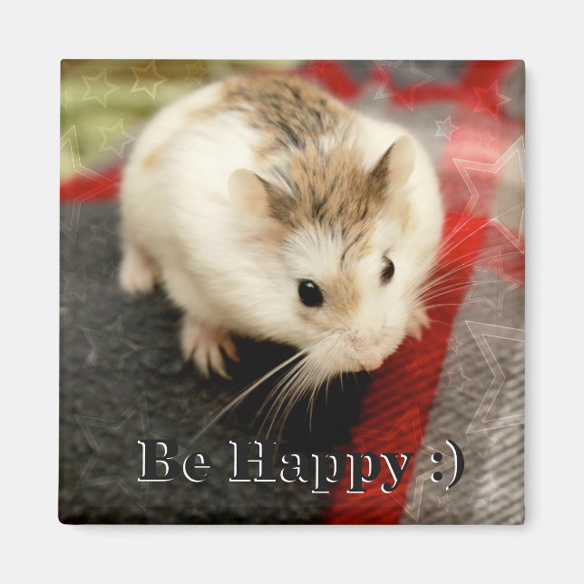 Hammyville - Niedlicher Hamster Magnet (Vorne)
