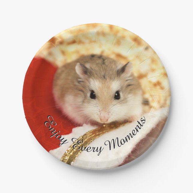 Hammyville - Niedlicher Hamster Pappteller (Vorderseite)