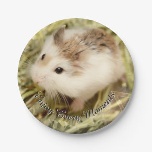 Hammyville - Niedlicher Hamster Pappteller