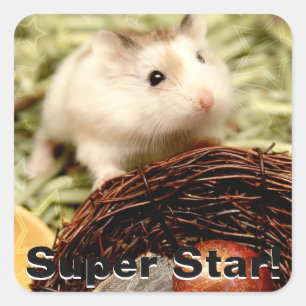 Hammyville - Niedlicher Hamster Quadratischer Aufkleber