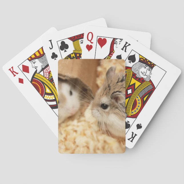 Hammyville - Niedlicher Hamster Spielkarten (Rückseite)