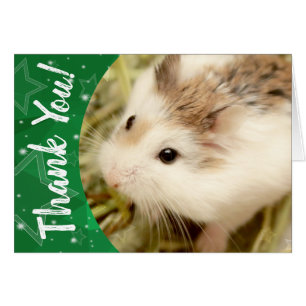 Hammyville - Niedlicher Hamster Vielen Dank