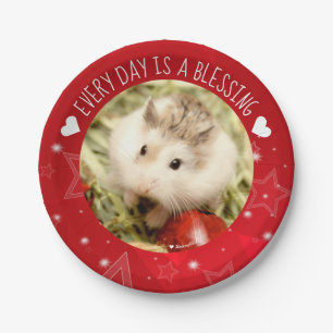 Hammyville - Niedlicher Robo Hamster Blessing Pappteller