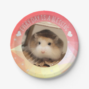 Hammyville - Niedlicher Robo Hamster Blessing Pappteller