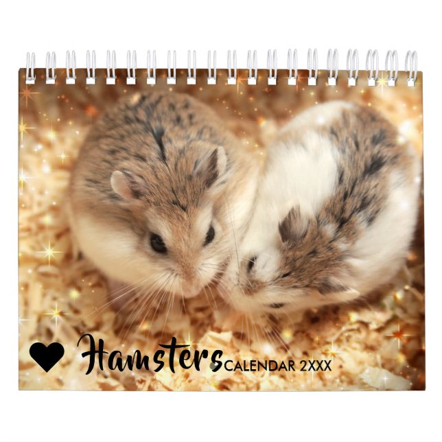 Hammyville - Schein Kalender (Titelbild)