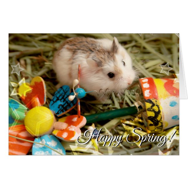 Hammyville - Spring Blume Hamster (Vorderseite (Horizontal))