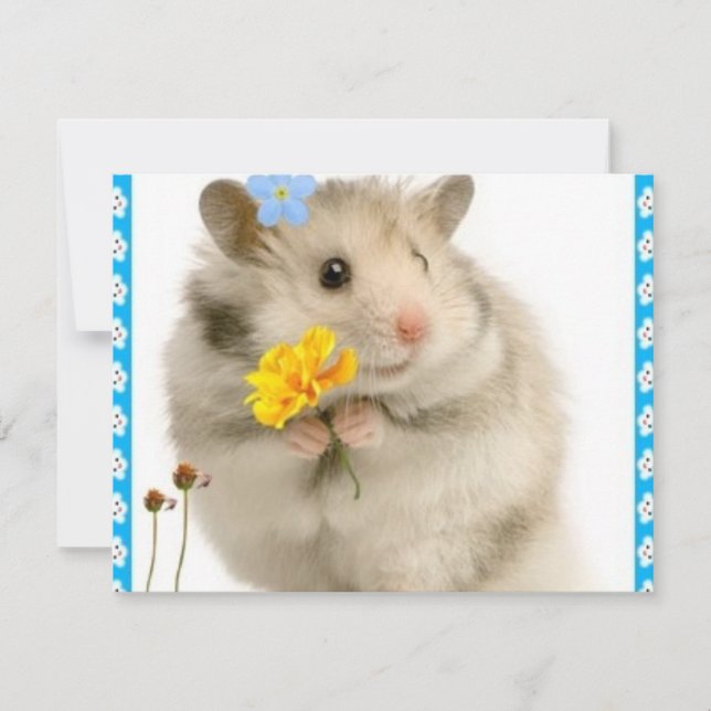 Hamster (Vorderseite)