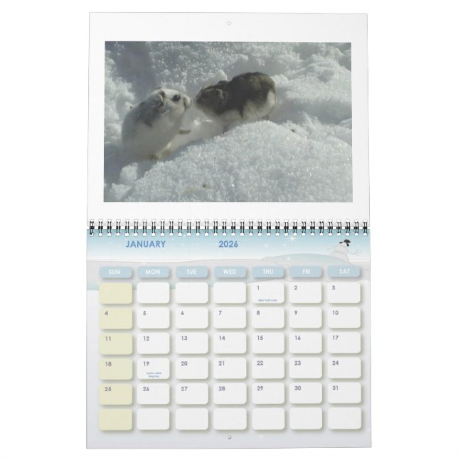 Hamster1, HAMSTERS, Kalender 2008 (Jan 2026)