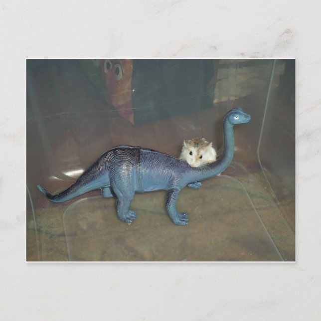 Hamster auf einem Dinosaurier Postkarte (Vorderseite)