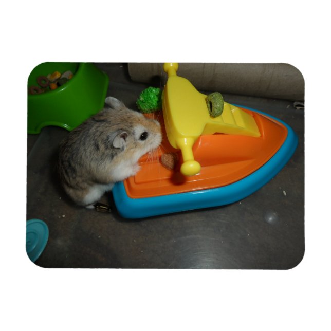 Hamster auf einem Jet-Ski Magnet (Horizontal)