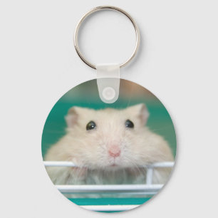 Hamster: Bitten um Aufmerksamkeit Schlüsselanhänger