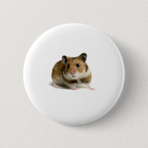 Hamster Button