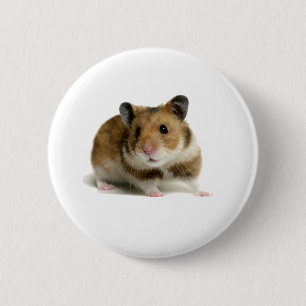 Hamster Button