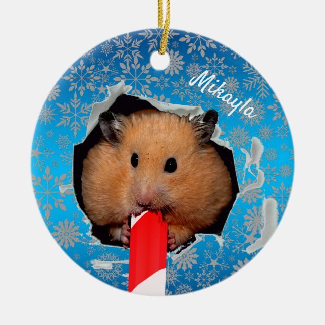 Hamster Chews Hole im Weihnachtsschmuck (Vorne)
