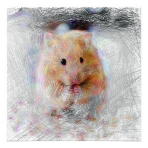Hamster Fotodruck