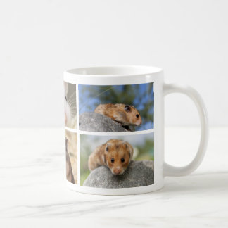 Hamster-/Gerbil-Foto-Collagen-Tasse Tasse