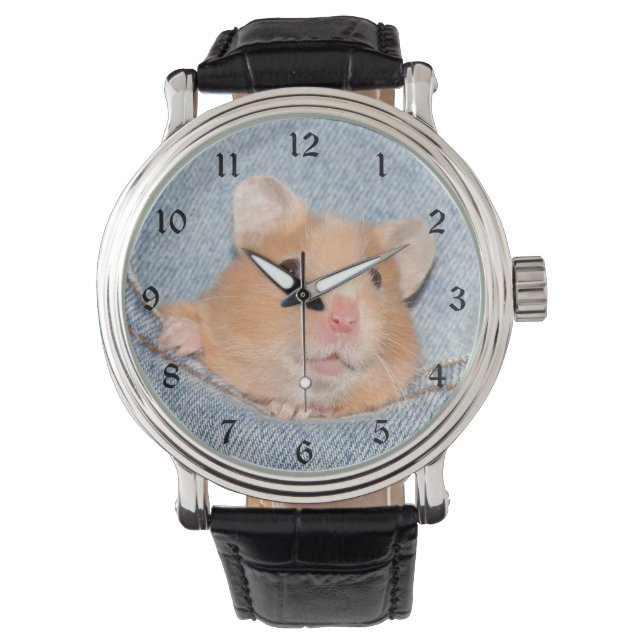 Hamster in blauer Jeans Armbanduhr (Vorderseite)