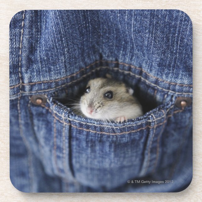 Hamster in der Tasche Untersetzer (Vorderseite)