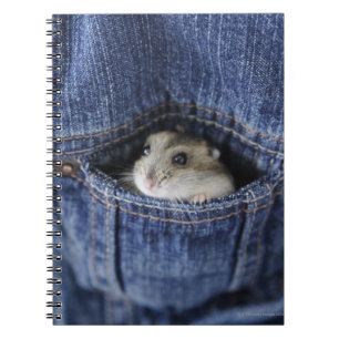 Hamster in Tasche Notizblock
