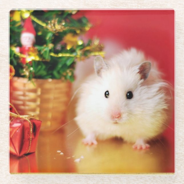 Hamster Kokolinka mit Weihnachtsbaum Glasuntersetzer (Vorderseite)