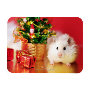 Hamster Kokolinka mit Weihnachtsbaum Magnet