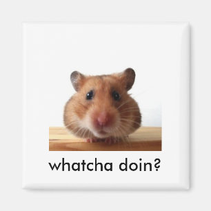 Hamster-Magnet Magnet
