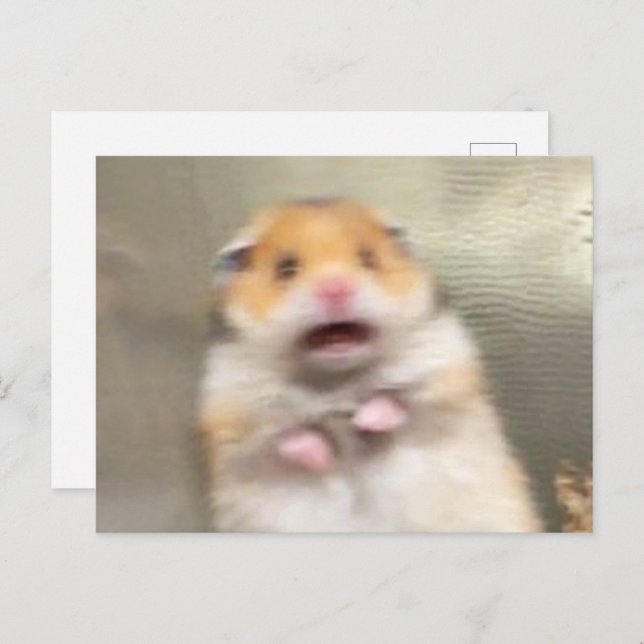 Hamster Meme Postkarte (Vorne/Hinten)