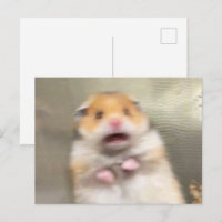 Hamster Meme