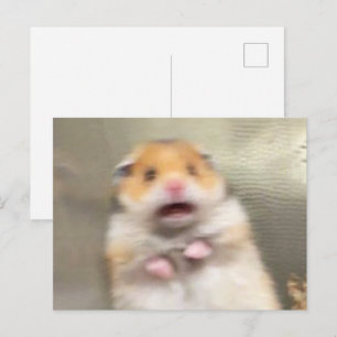 Hamster Meme Postkarte