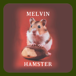 Hamster mit brasilianischer Nut Quadratischer Aufkleber