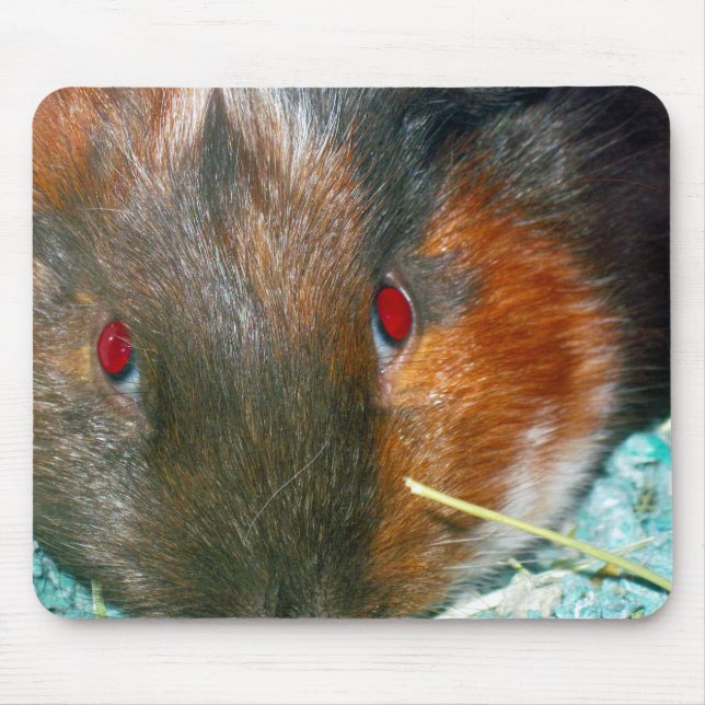 Hamster Mouse Pad Mousepad (Vorne)