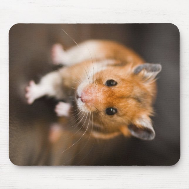Hamster Mousepad (Vorne)