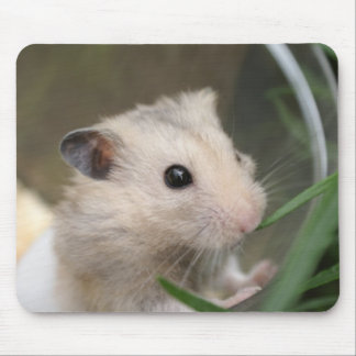 Hamster mousepad