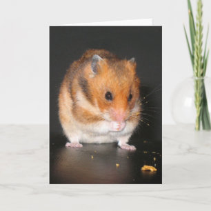 Hamster notecard karte