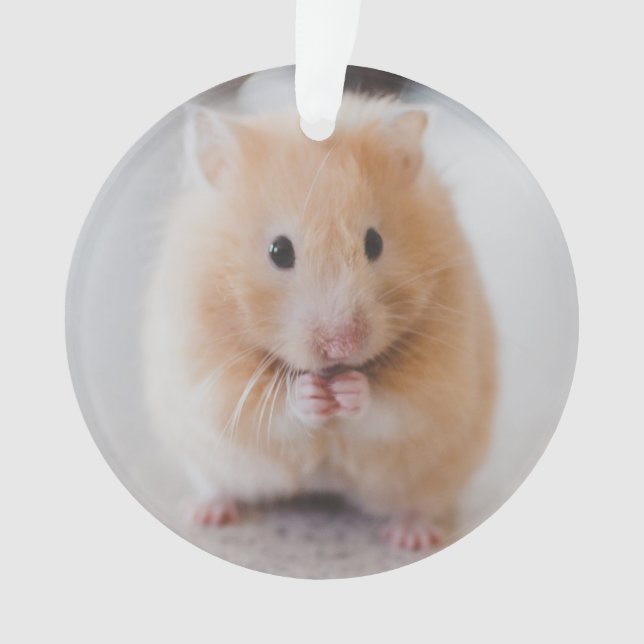 Hamster Ornament (Vorderseite)