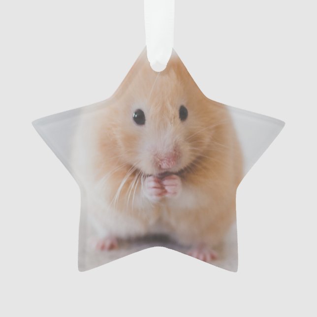Hamster Ornament (Vorderseite)