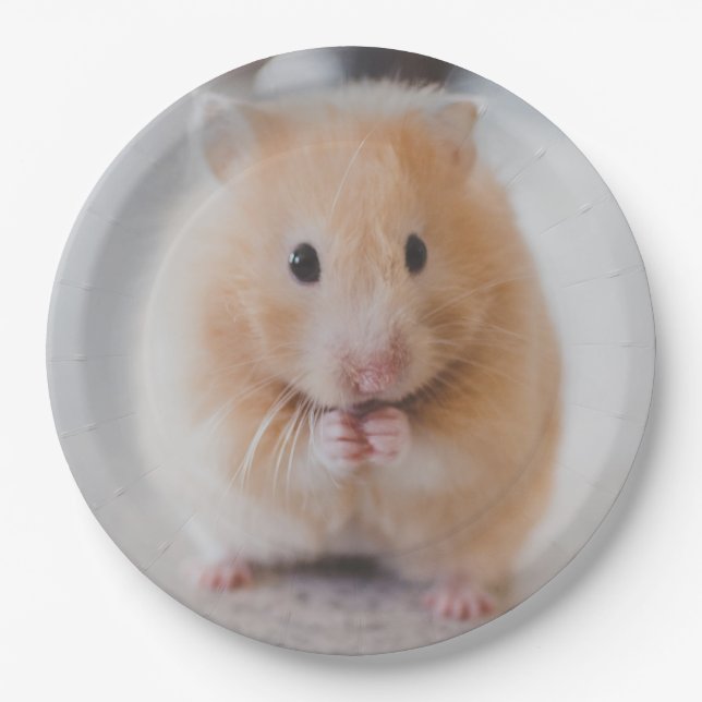 Hamster Pappteller (Vorderseite)