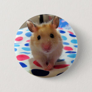Hamster Pinback Knopf Button