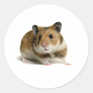 Hamster Runder Aufkleber