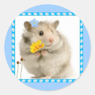 Hamster Runder Aufkleber