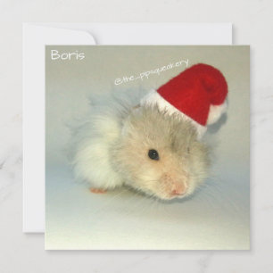 Hamster Santa! Feiertagskarte