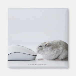 Hamster und Computermaus Magnet