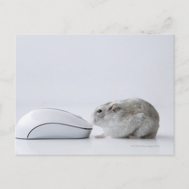 Hamster- und Computermaus Postkarte (Vorderseite)