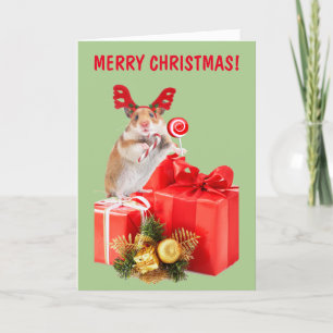 Hamster und Weihnachtsgeschenke Feiertagskarte